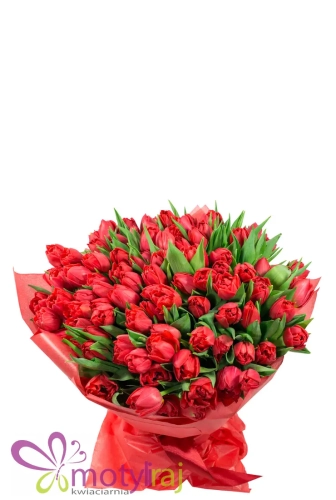 Fantazyjne tulipany