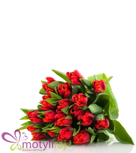 Ogniste tulipany