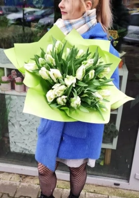 Białe Tulipany