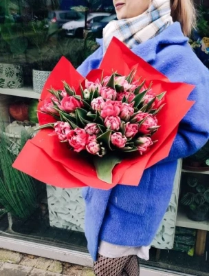 Malinowe Tulipany