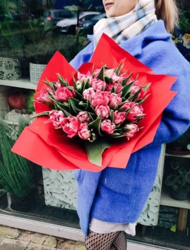 Malinowe Tulipany
