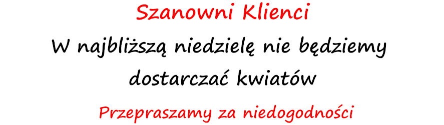 wolna niedziela